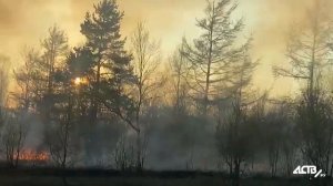 Пожар в районе дач в Новоалександровске