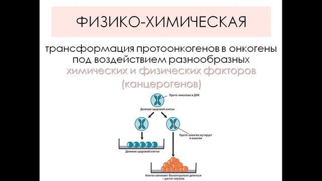 ОПУХОЛИ. ЭТИОЛОГИЯ (теории канцерогенеза).