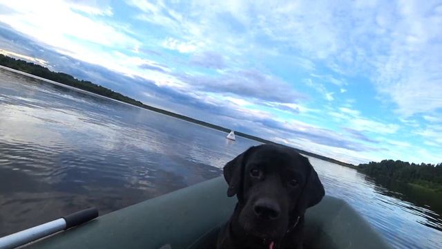 РЫБАЛКА с НОЧЕВКОЙ и ОТДЫХ с палатками. смотреть онлайн