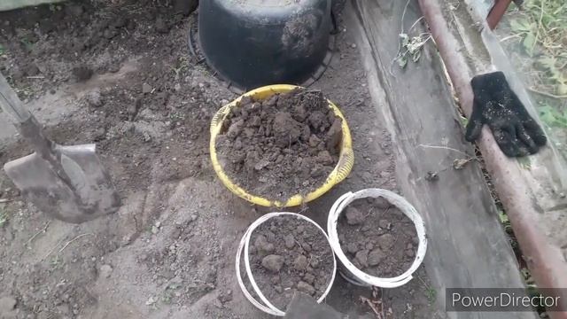 Подрастает личный повар и массажист.Работа в огороде. смотреть онлайн