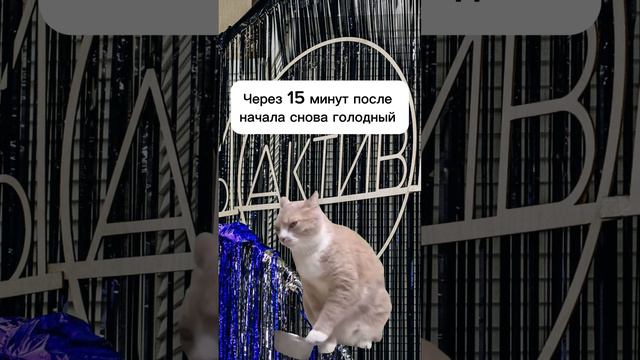 Типы людей на  профАКТИВируйся