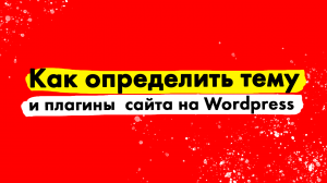 Как определить тему и плагины  сайта на Wordpress.mp4