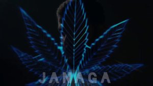 Janaga - Asa du | скажи мне