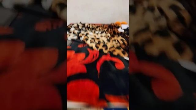 POV:When u see a r34 Roblox Girl me:??? смотреть онлайн