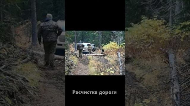 ПУТЬ К КИТАМ | ТУР НА ШАНТАРСКИЕ ОСТРОВА