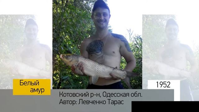 Фотоальбом - Рыбалка №390 смотреть онлайн