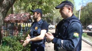 вороны напали на детей