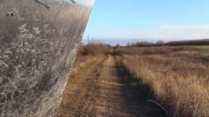 08_12_2019_с. ГОФИЦКОЕ_Черкесский пруд.mp4