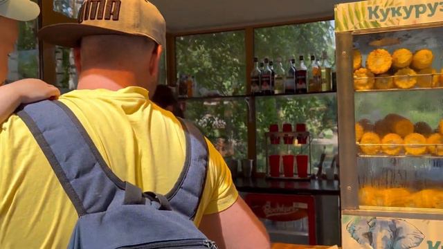 Зоопарк 🐅🦧🐏🦌🦩 смотреть онлайн