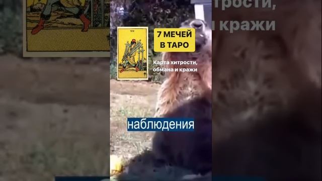 7 мечей в Таро