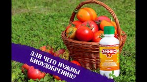 Для чего нужны биоудобрения