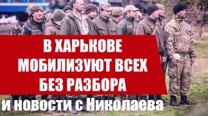 В Харькове хватают всех без разбора. Что говорят люди в Николаеве. #палата61