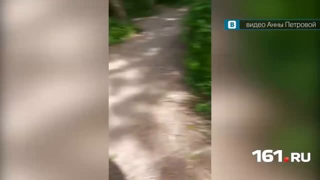 Онанист попал на видео