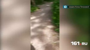 Онанист попал на видео