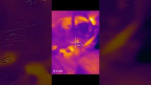 Установка рефрижератора Polus C800, отопителя фургона Polus Р200, термоизоляция фургона Ford Transit