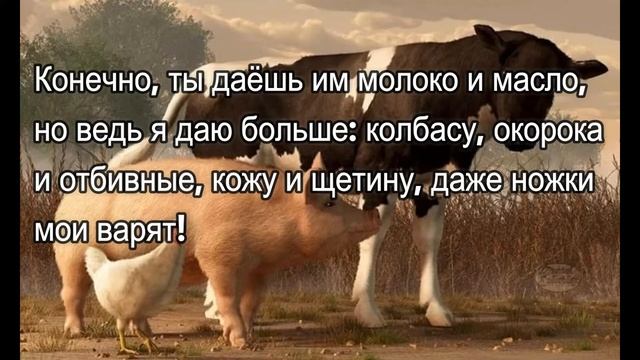 ПРИТЧА КОРОВА И СВИНЬЯ ( ДОБРОТА И ЖАДНОСТЬ) МУЗ - С . ЧЕКАЛИН смотреть онлайн