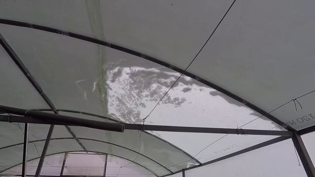 Домик за 100 000 руб // Обзор 26 ноября // Красный Рог смотреть онлайн