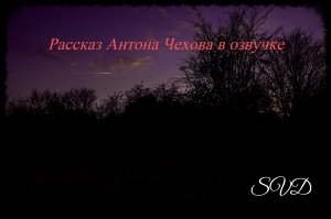 История о жизни служанки Варьки ?