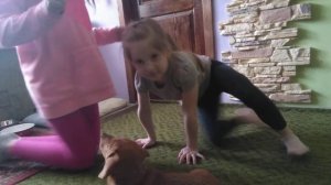 Как дрессировать таксу. Дрессировка нашего мальчика.