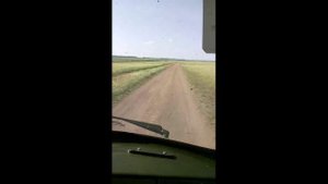 Дорога от посёлка Новый