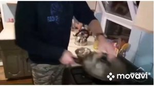 Свиные хвосты жаренные, ?