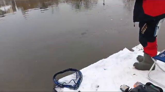 Светлые Горы Щука 28.10.2023г. смотреть онлайн