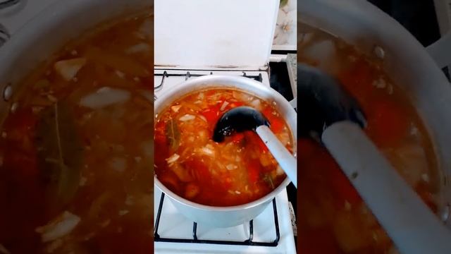 Варю на обед щи,мясо у меня свинина,свежие помидора и перчик?