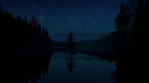 Ночное пение Соловья поможет быстро уснуть, расслабиться и отдохнуть после тяжелого дня