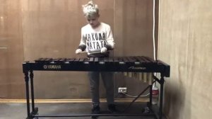 Ксилофон. Тамбурин. Рамо