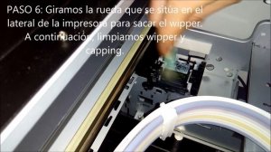 Limpieza Polyprint Texjet Echo