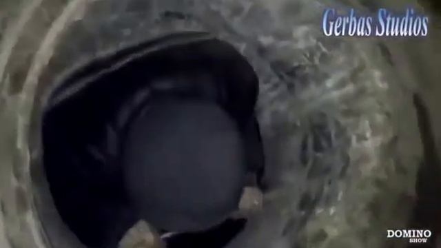 Страх и сенсация, учёные в недоумении! Хорошо подумайте перед просмотром!