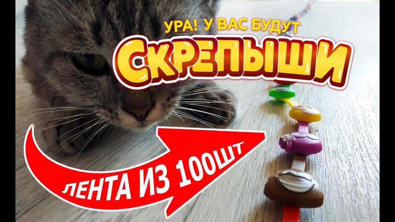 Скрепыши 100шт гигантская полоска и куча браслетов! Распаковка обзор применение.