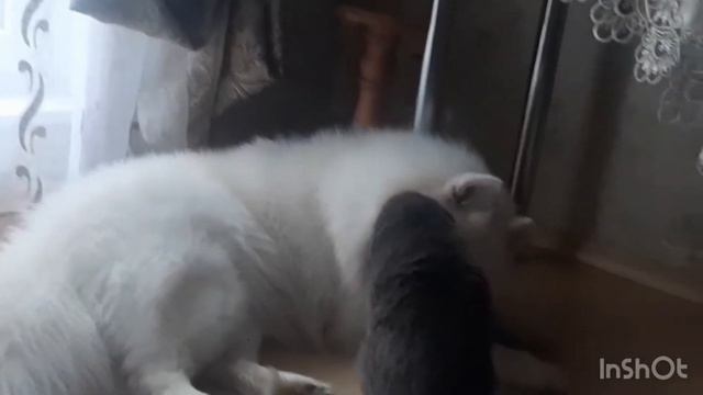Дружба и любовь , где то рядом)))