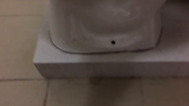 Как поднять туалет в квартире на 10 см? смотреть онлайн