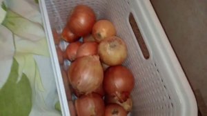 Как я храню овощи в квартире,