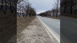 Гранта спорт против Калина спорт