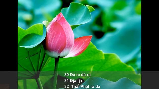 Chú Đại Bi - Trì chú rất hay, nhẹ nhàng, thanh thoát (x 21 biến) смотреть онлайн