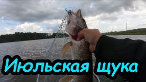 Щука на спиннинг в июле