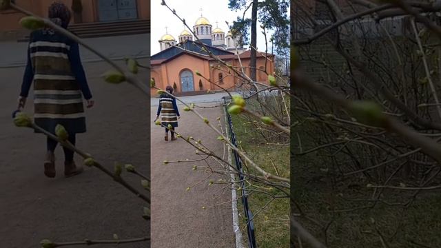 Chernobyle Cathedral, or Saint Archangel Mikhail Cathedral, Kyiv, Ukraine. 25.march.2023 Spring bud