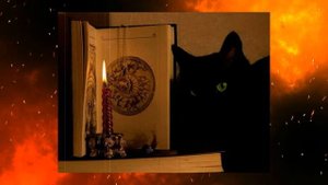 ЧТО ТАКОЕ КРАДНИКИ | ЗАЩИТА, СПОСОБЫ ОБЕЗВРЕДИТЬ ИХ