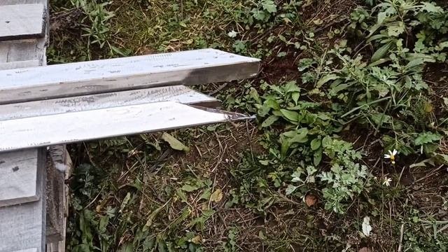 Заземление своими руками. Дом из бруса своими руками.