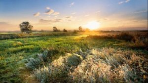 А.Бородин 2 симфония 2 часть.  A. Borodin 2 symphony 2 part