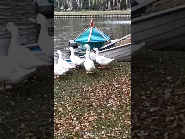 28 октября 2022 г. смотреть онлайн