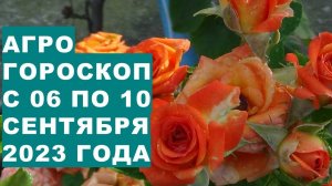 Агрогороскоп с 06 по 10 сентября 2023 года. Agrohoroscope from 06 to 10 September 2023