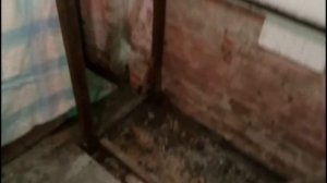 Перепела в подвале гаража Переделка подвала 2