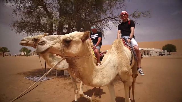 Unit4 TPC Oman 2016 NG смотреть онлайн