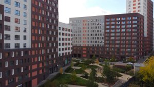 Шишимская горка Брусника