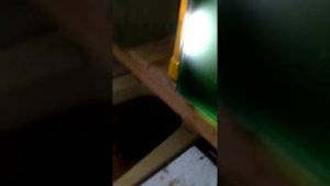 В сундуке-заяц. В зайце-утка. В утке-яйцо. В артемии - тетраселмис (артемия фаршированная).