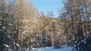 зимник Амурка-Удское-Чумикан 2024 год (1).mp4