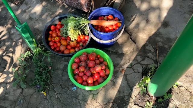 Мама приехала, Угощаю ? арбузами, Страшные помидоры) Куриные отбивные, Живу в деревне смотреть онлайн